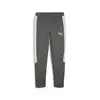 Puma EVOSTRIPE Pants DK Gri Erkek Eşofman Altı