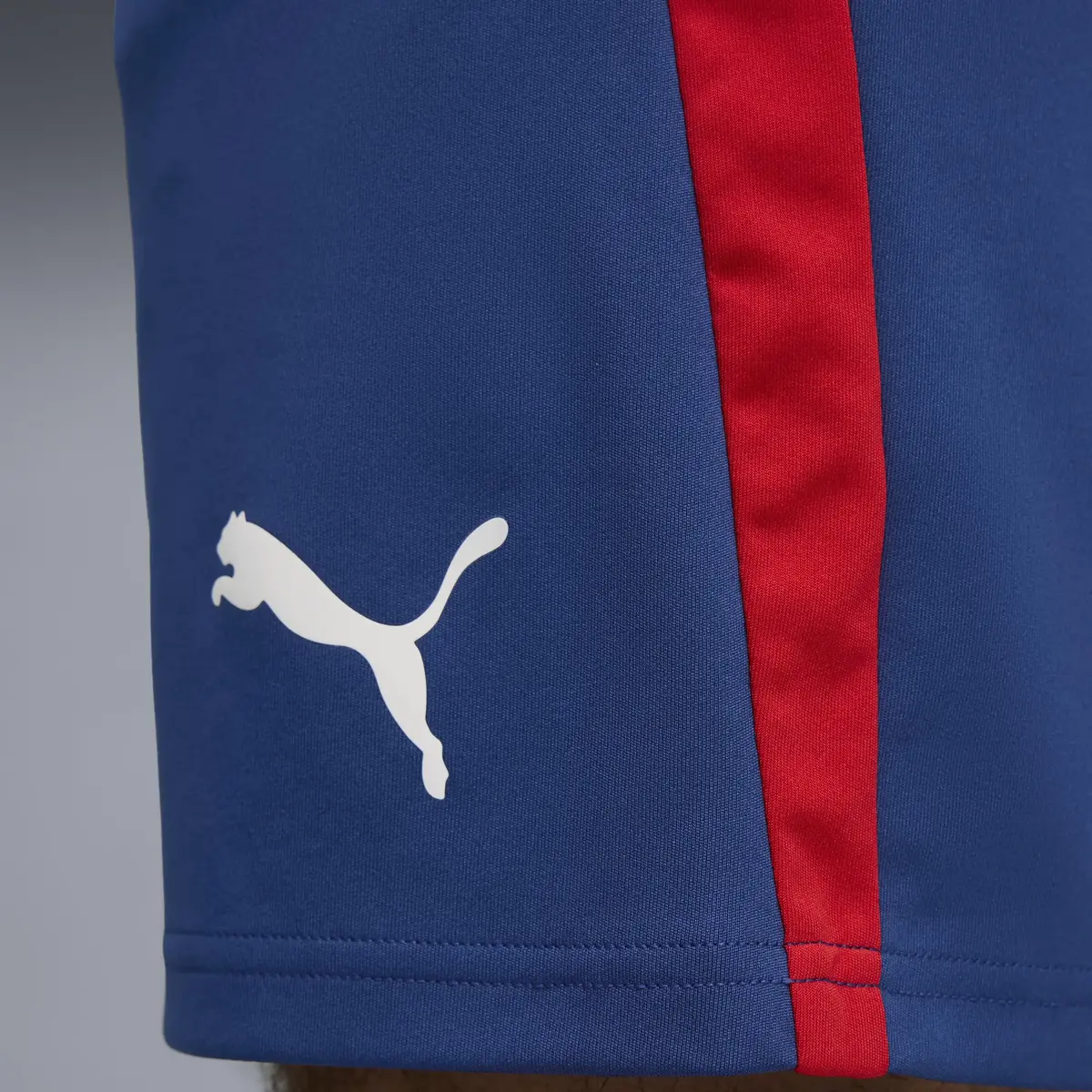 Puma Neymar JR Playmaker TrgShort Mavi Erkek Şort