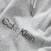 Calvin Klein COLOR BLOCK SHORTS Erkek Gri Şort