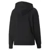 Puma Swxp Graphic Hoodie Siyah Kadın Hoodie