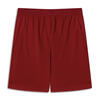 Puma GSK Shorts Erkek Şort