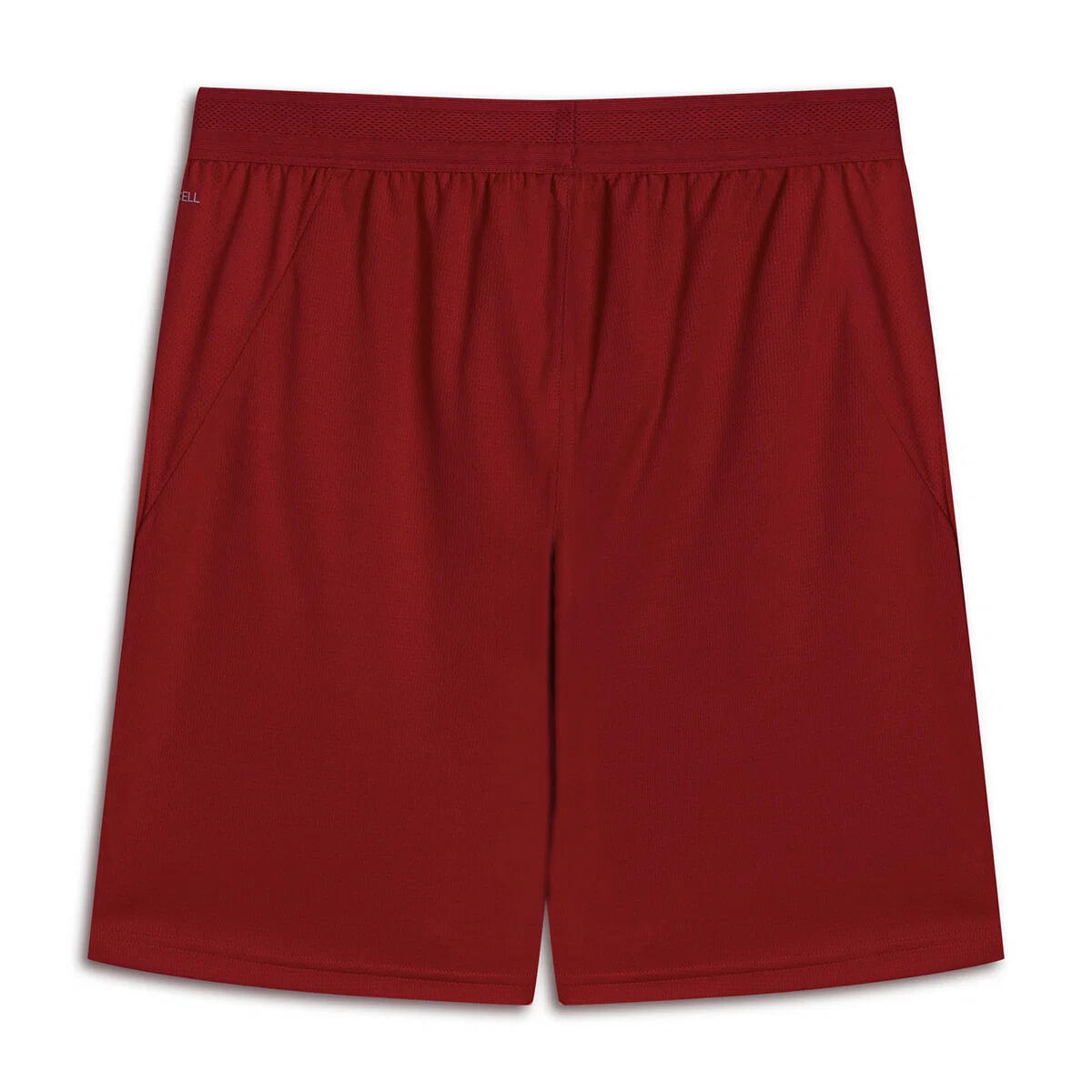 Puma GSK Shorts Erkek Şort