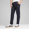 Puma EVOSTRIPE Pants Erkek Eşofman Altı