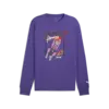 Puma Hoopstel LS Tee Erkek Mor Basketbol Sweatshirt