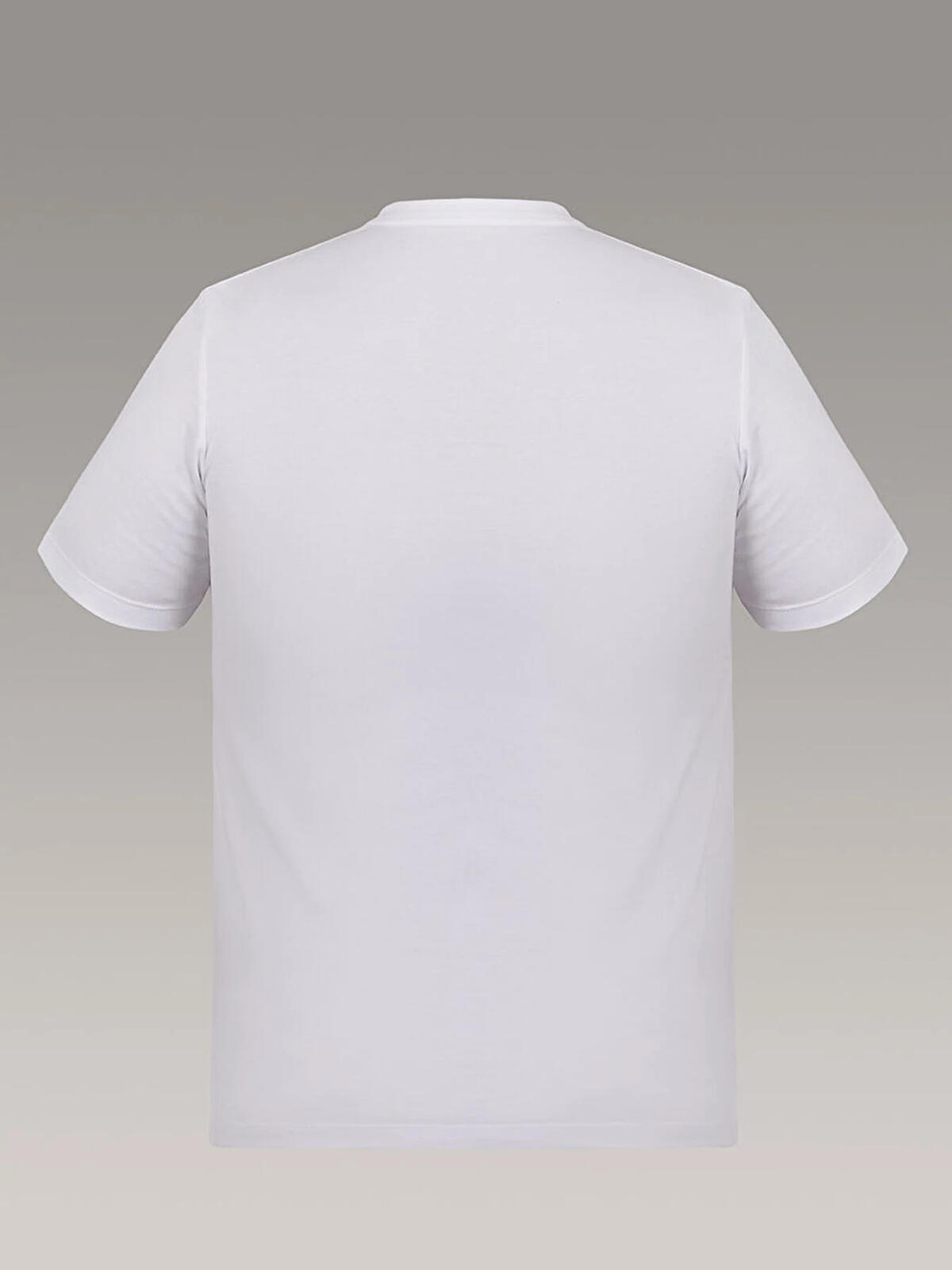 Calvin Klein SS 30S WHSL CALVIN COLL WORD GRA Beyaz Erkek T-Shirt