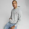 Puma Swxp Graphic Hoodie Gri Erkek Hoodie