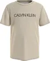 Calvin Klein INSTITUTIONAL T-SHIR Erkek Krem T-Shirt