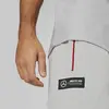 Puma MAPF1 Sweatpants, cc Mercedes Team Mercedes Gri Erkek/Unisex Eşofman Altı