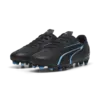 Puma VITORIA FG/AG Siyah Erkek Krampon