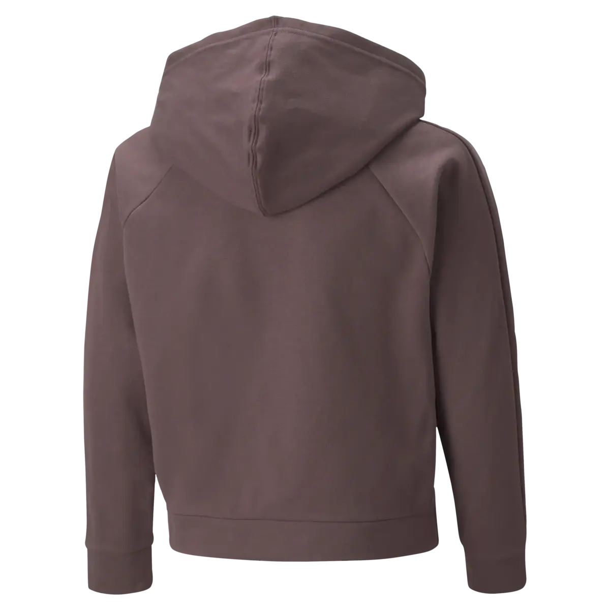Puma Modern Sports FZ Hoodie Kahverengi Kız Çocuk Hoodie
