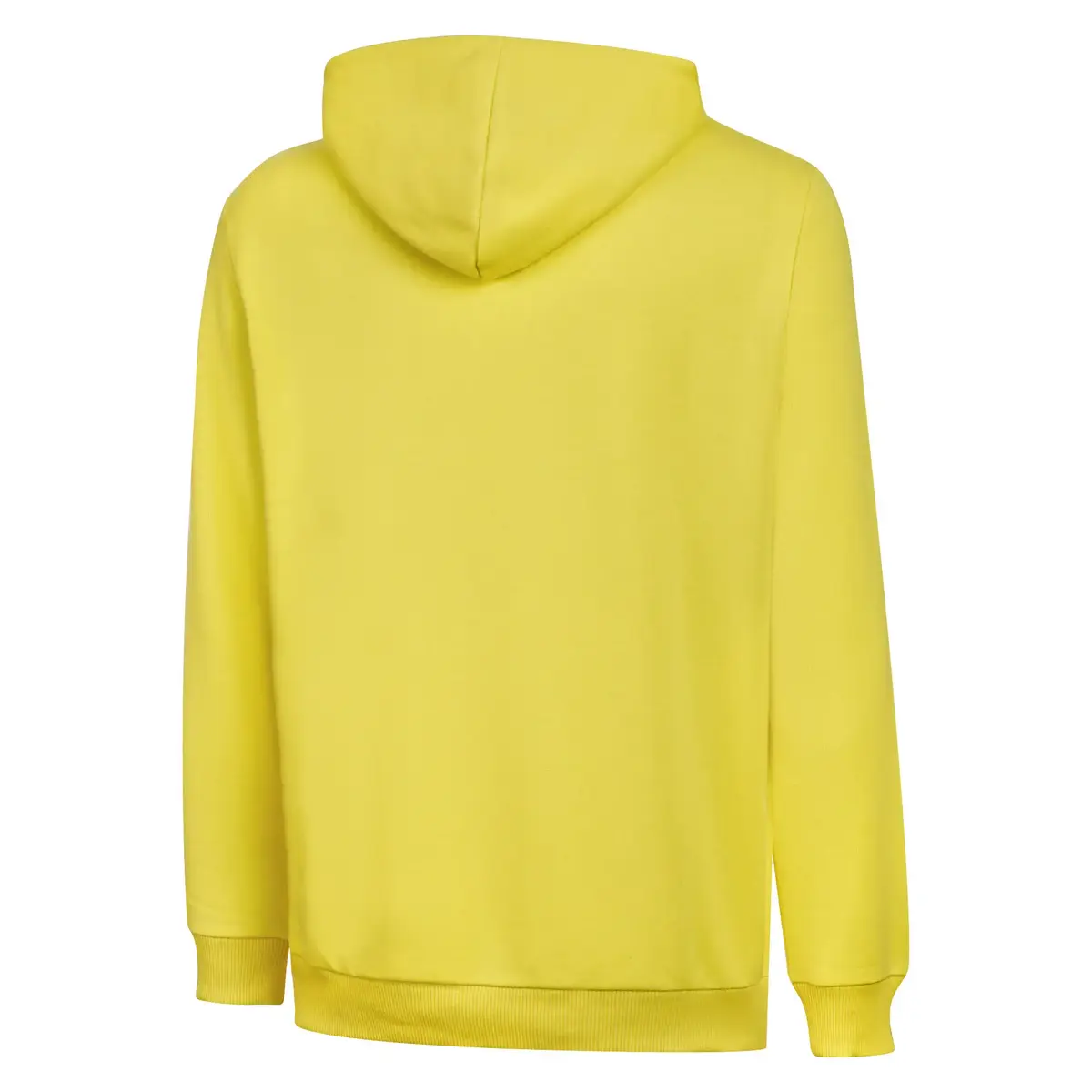 Puma Fsk Cat Hoody Blazing Yellow-Medieval Bl Erkek Takım Forması