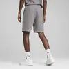 PUMA EVOSTRIPE Shorts Gri Erkek Şort