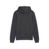 Puma GSK FtblCulture Hoodie GALATASARAY FtblCulture Erkek Kapüşonlu SWEATSHIRT