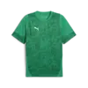 Puma teamCUP Training Jersey Erkek Forma