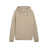 Puma PUMATECH Hoodie Erkek Sweatshirt