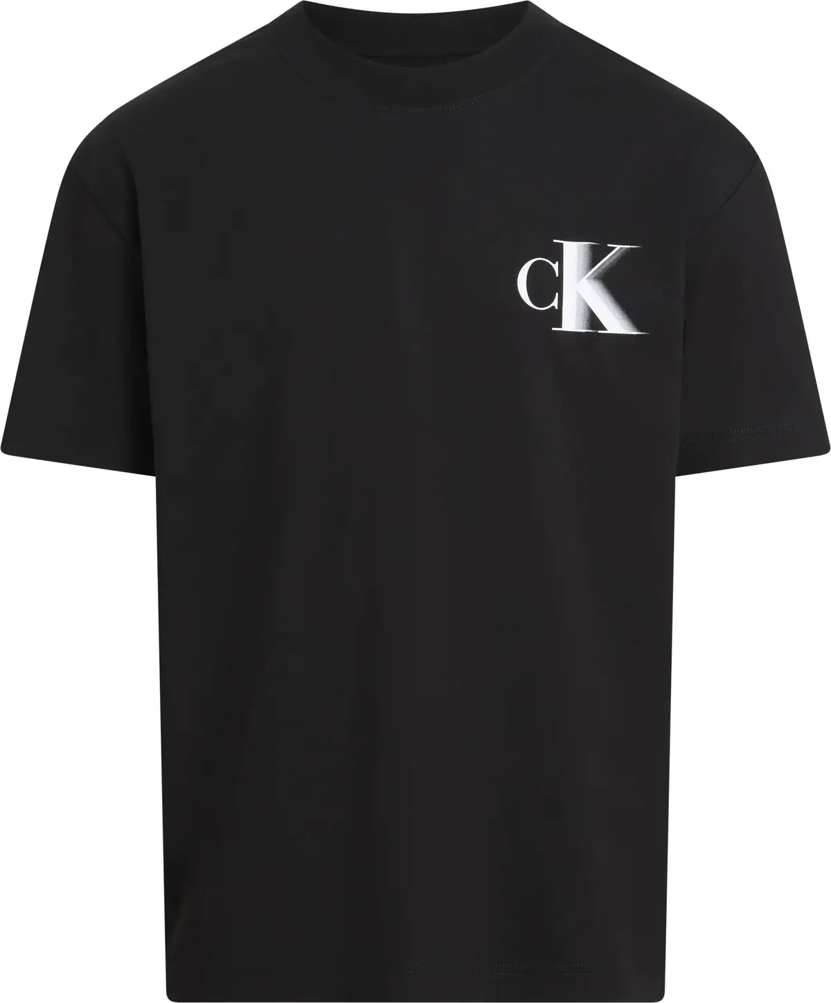 Calvin Klein Siyah Erkek T-Shirt & Polo