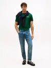 Tommy Hilfiger HILFIGER HERALD BACK, L6K Yeşil Erkek T-Shirt