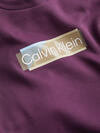 Calvin Klein LAYERED GEL LOGO SWE Erkek Pembe Sweatshirt