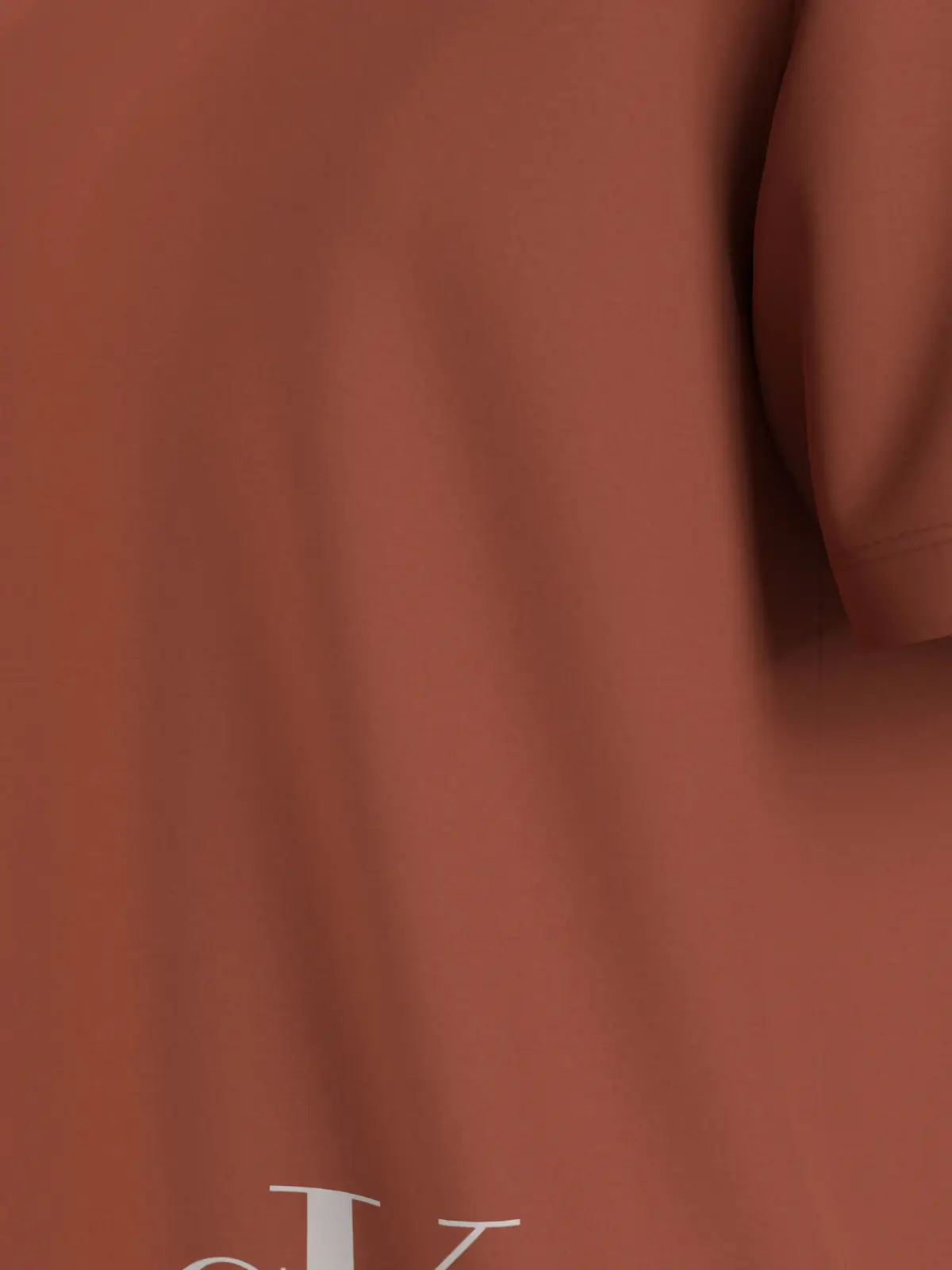 Calvin Klein COLOR MONOGRAM GRAPH Erkek Kahverengi T-Shirt