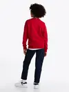 Tommy Hilfiger MONOTYPE 1985 LABEL, XLD Kırmızı Erkek Çocuk Sweatshirt