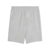 Puma ESS ELEVATED Shorts 9" TR Gri Erkek Şort
