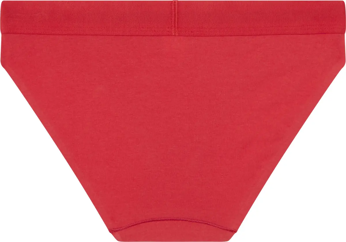 Calvin Klein BIKINI Kadın Kırmızı Bikini Külot
