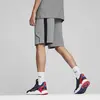 Puma BMW MMS Sweat Shorts Gri Erkek Şort
