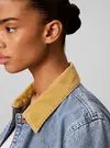 CONTRAST COLLAR CHOR, JM3