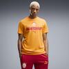 Puma GSK FtblCulture Tee GALATASARAY FtblCulture Erkek Tişört