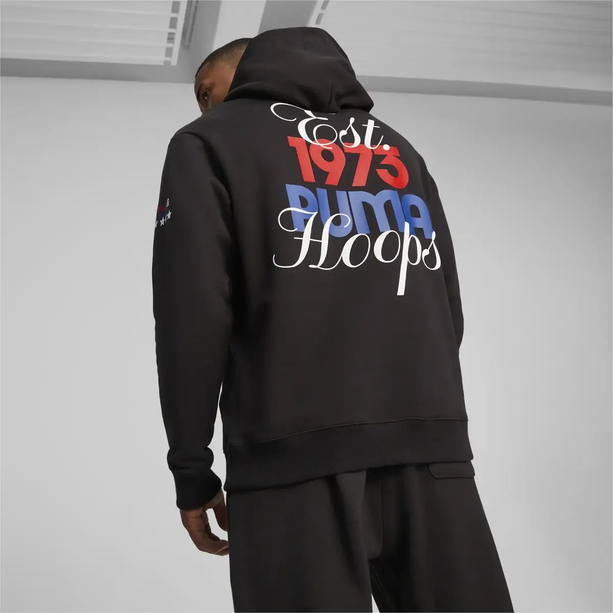 Puma FRANCHISE Graphic Hoodie 1 Siyah Erkek Hoodie