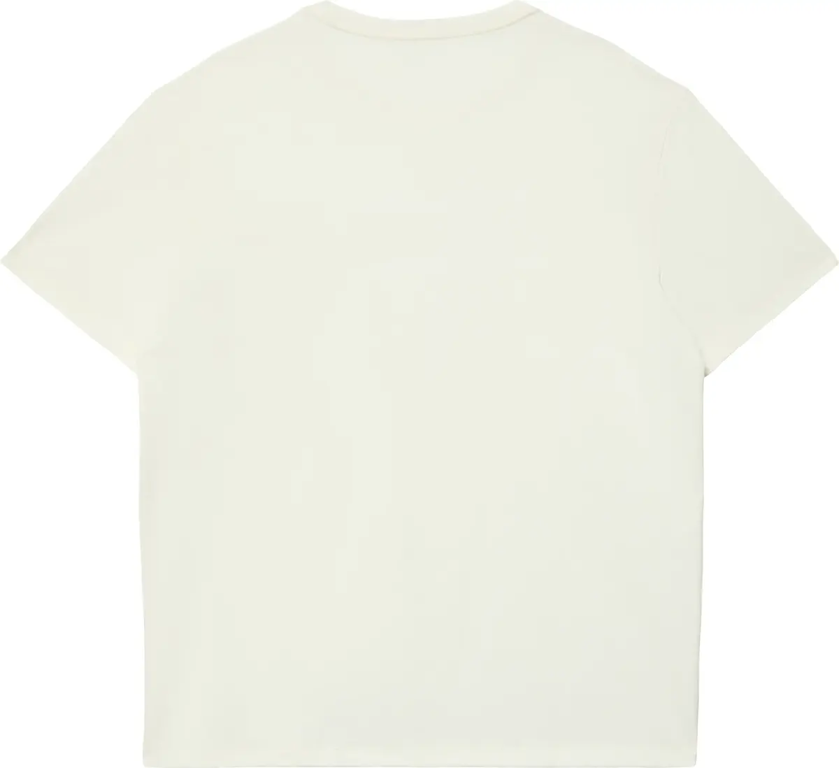 Calvin Klein SS 20S WHSL SP CKLEIN NY GRAPHIC Erkek Krem T-Shirt