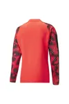 Puma İndividualfınal Wc 1/4 Zip Top Kırmızı Erkek Fermuarlı Futbol Üst