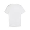 Puma GRAPHICS PUMA Bonsai Tee Beyaz Erkek T-Shirt