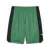 Puma Shot Blocker Short Erkek Şort