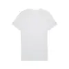Puma EVOSTRIPE Tee Açık Gri Erkek T-Shirt