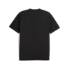 Puma TRAINING ESS Tee Siyah Erkek T-Shirt & Polo