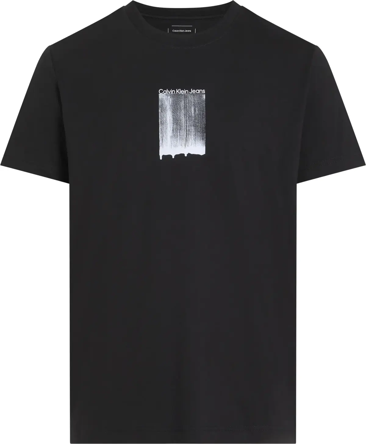 Calvin Klein BRUSH STROKE GRAPHIC, BEH Siyah Erkek T-Shirt & Polo