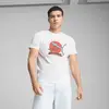 Puma GRAPHICS PUMA Bonsai Tee Beyaz Erkek T-Shirt