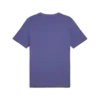 Puma GRAPHICS Icon Tee Erkek T-Shirt & Polo