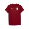 Puma GSK EVOSTRIPE Tee GALATASARAY EVOSTRIPE Erkek Dar Kesim Tişört