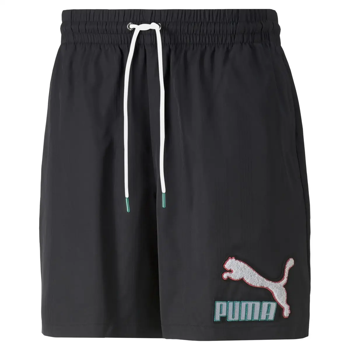 Puma Fandom Shorts Siyah Erkek Günlük Şort