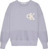 Calvin Klein TOWELLING MONO CN SW Erkek Lila Sweatshirt
