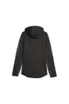 Puma EVOSTRIPE Hoodie DK Siyah Erkek Hoodie