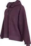 Calvin Klein GRADIENT CK HOODIE Kadın Pembe Hoodie
