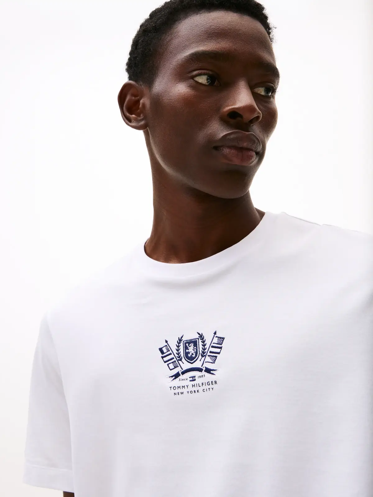 Tommy Hilfiger HILFIGER CREST EMBRO, YBR Beyaz Erkek T-Shirt & Polo