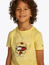 FLAG FUN TEE SS, ZF0