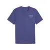 Puma GRAPHICS SKELETON RUN TEE Mavi Erkek T-Shirt