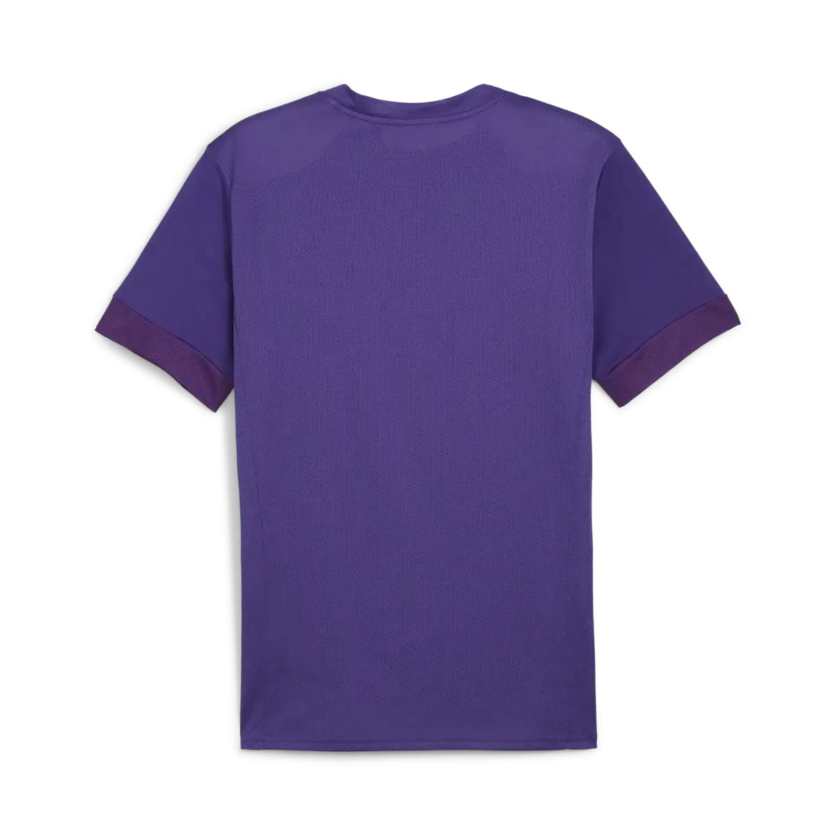 Puma teamGOAL Matchday Jersey Mor Erkek Maç Günü Forması