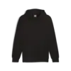 Puma ESS ELEVATED Hoodie Siyah Erkek Sweatshirt