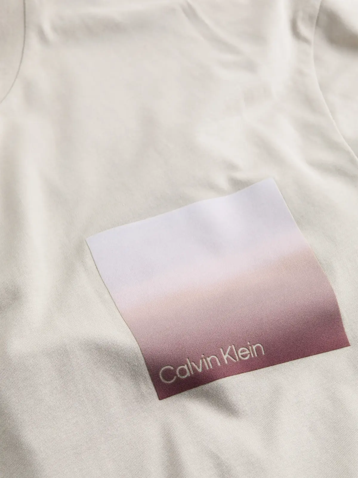 Calvin Klein OMBRE BONDED BOX LOG, PBQ Bej Erkek T-Shirt & Polo